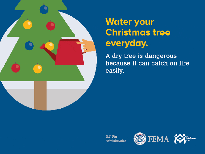 safety_tips_winter_fires_water_your_tree.1200x900
